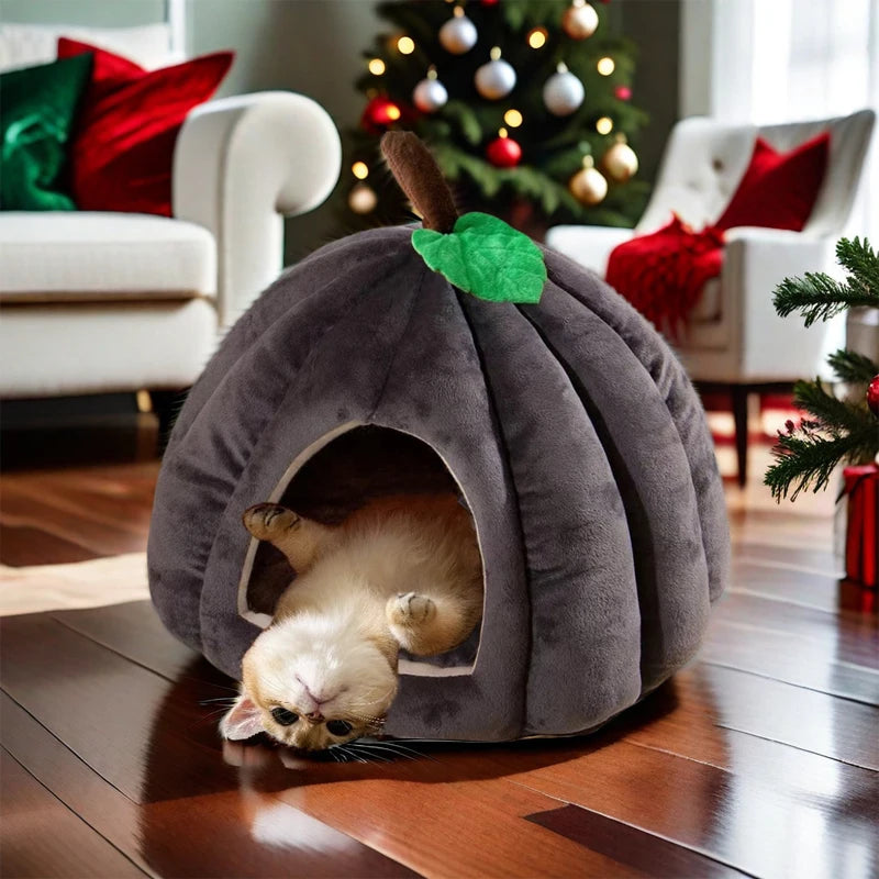 3D Pompoen Kattenhuis met Antislip Bodem en Verwijderbare Mat voor Katten en Kleine Honden 1