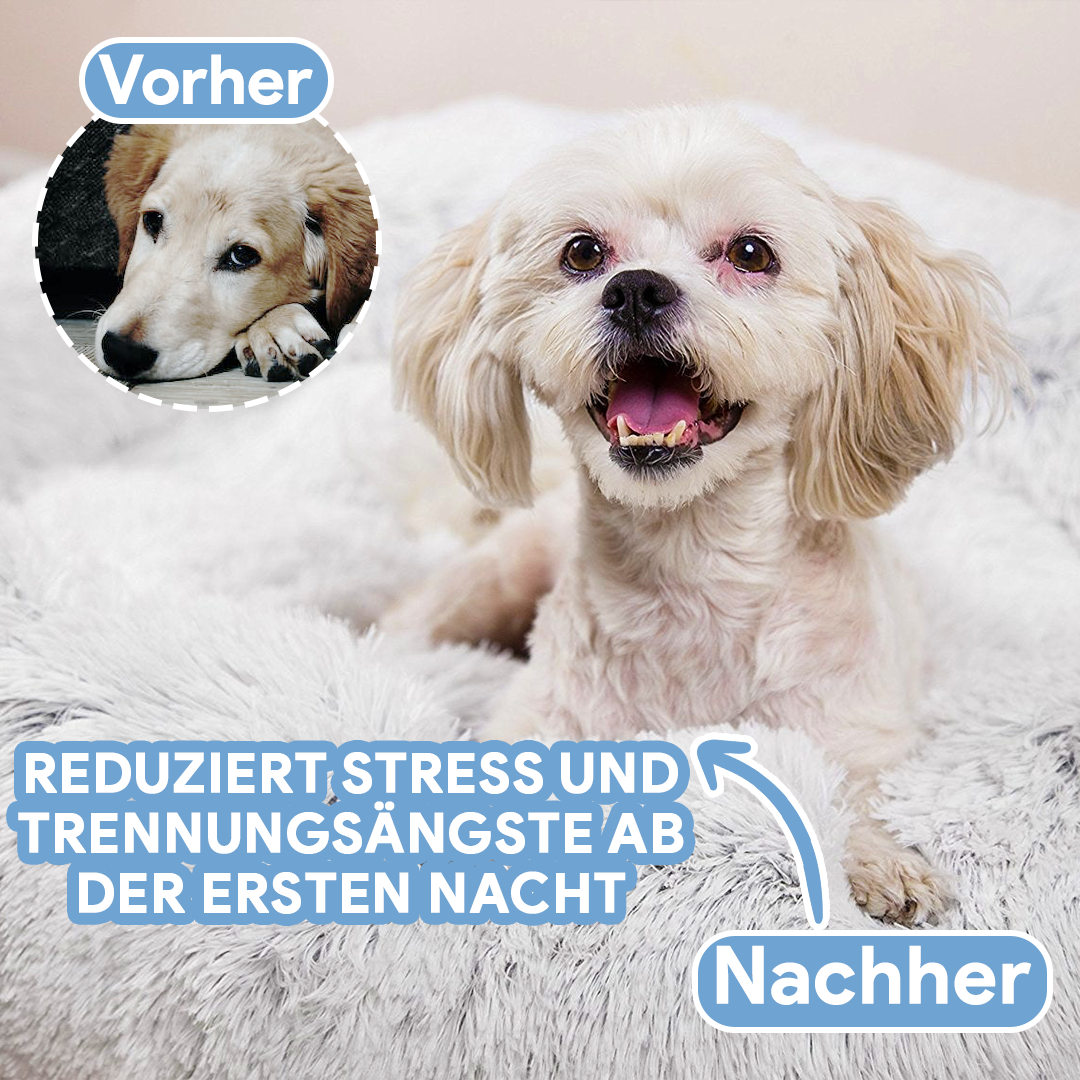Pawvera Wolke 7 Hondenbed – Stressverlagend, Zacht & Wasbaar voor Ultiem Comfort