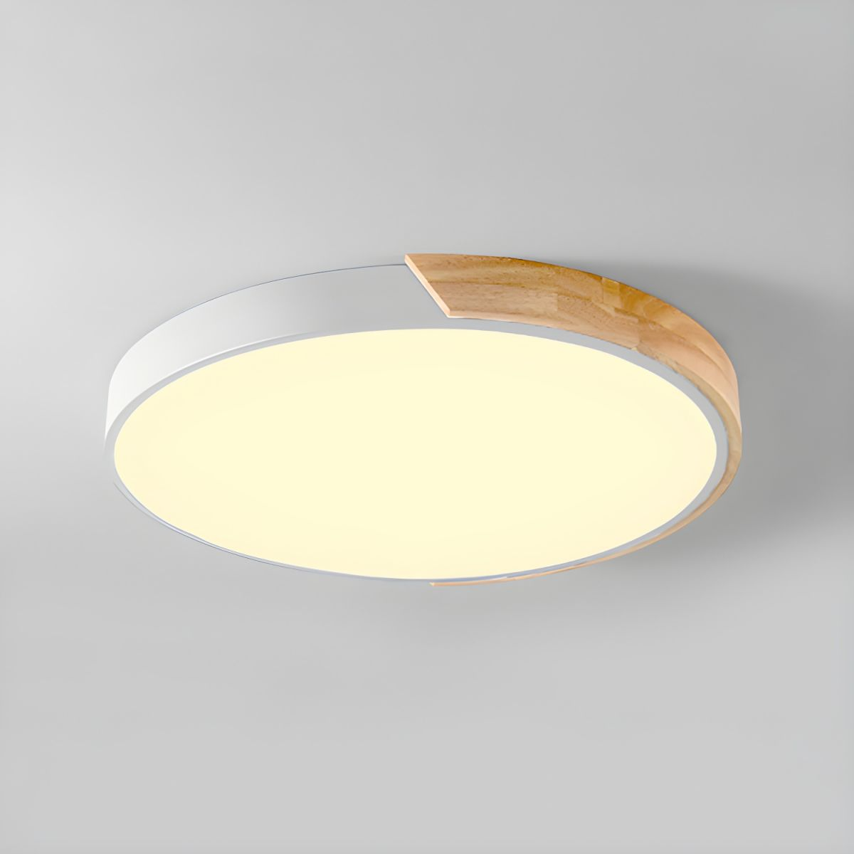 Coloria Plafondlamp – Ronde LED-Verlichting met Kleurrijke Afwerking en Modern Design