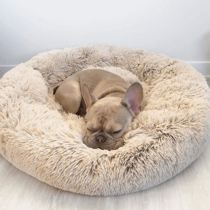 Pawvera Wolke 7 Hondenbed – Stressverlagend, Zacht & Wasbaar voor Ultiem Comfort