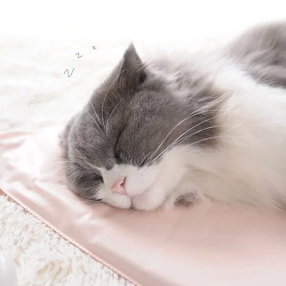 Verwarmingskussen voor huisdieren - Waterdicht en Draagbaar 2