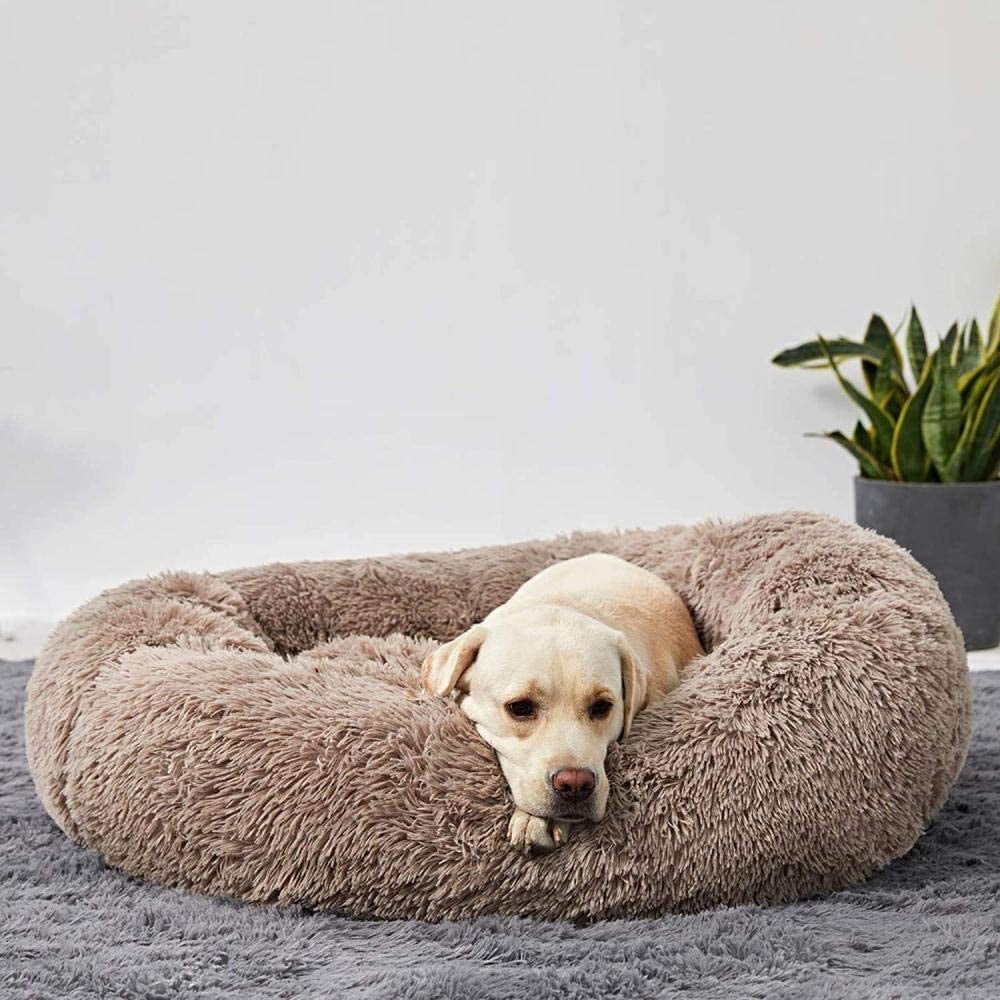 Pawvera Wolke 7 Hondenbed – Stressverlagend, Zacht & Wasbaar voor Ultiem Comfort