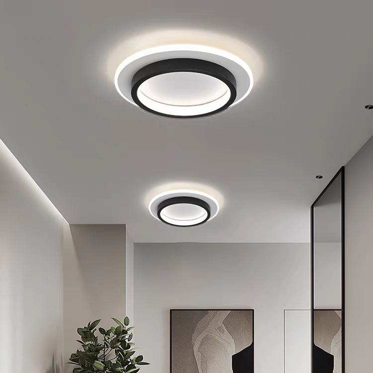 Eldaro Llum de sostre – Llum de sostre LED rodona de metall i acrílic amb disseny modern minimalista