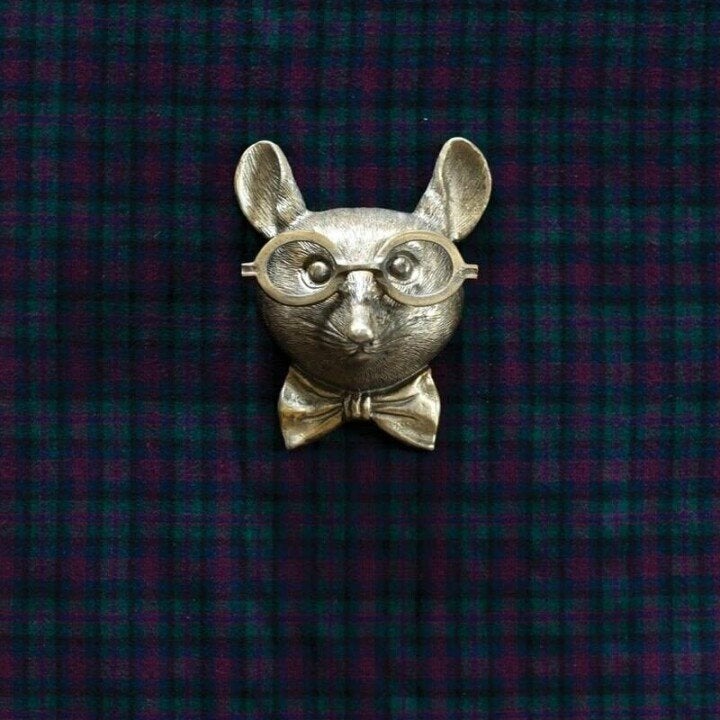 CritterCharm – Decorazione da parete con testa di animale giocosa – Design in resina dipinto a mano