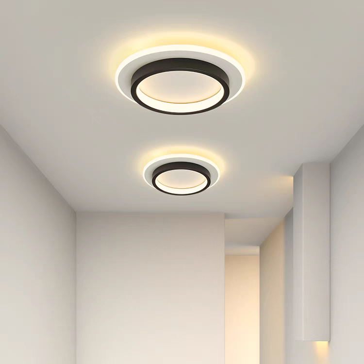 Eldaro Lámpara de techo – Lámpara de techo LED redonda de metal y acrílico con diseño moderno minimalista