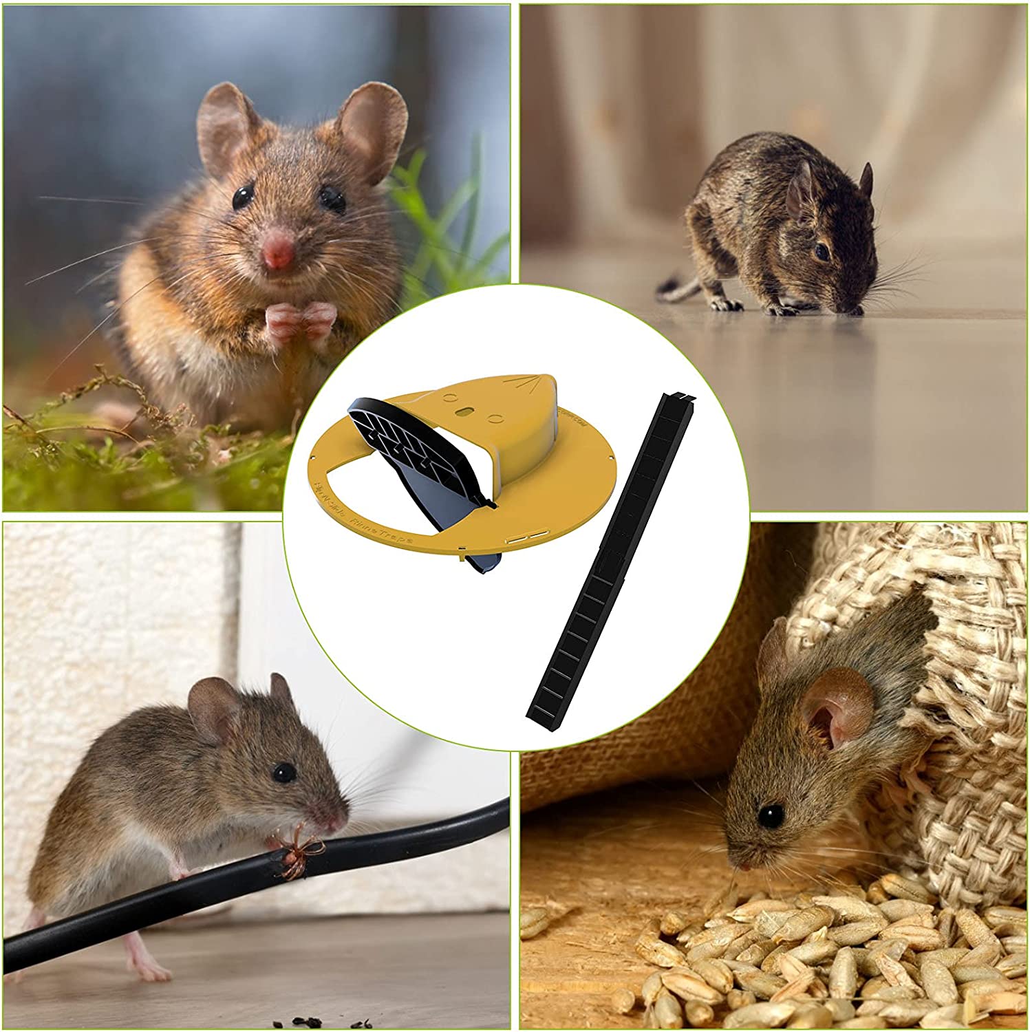 Coperchio per trappola per topi CatchCare – Riutilizzabile e senza veleno