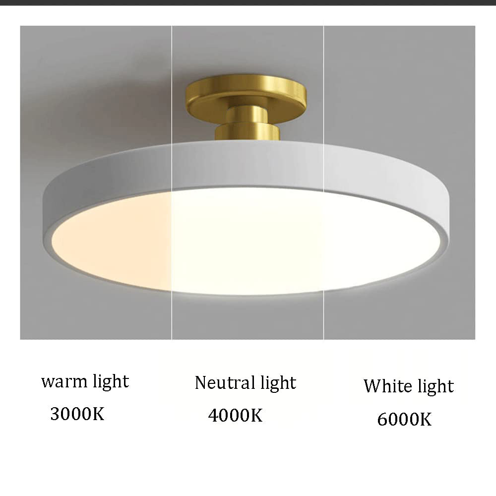 Vionte Plafondlamp – Lampada da soffitto LED rotonda in metallo e acrilico con design a risparmio energetico