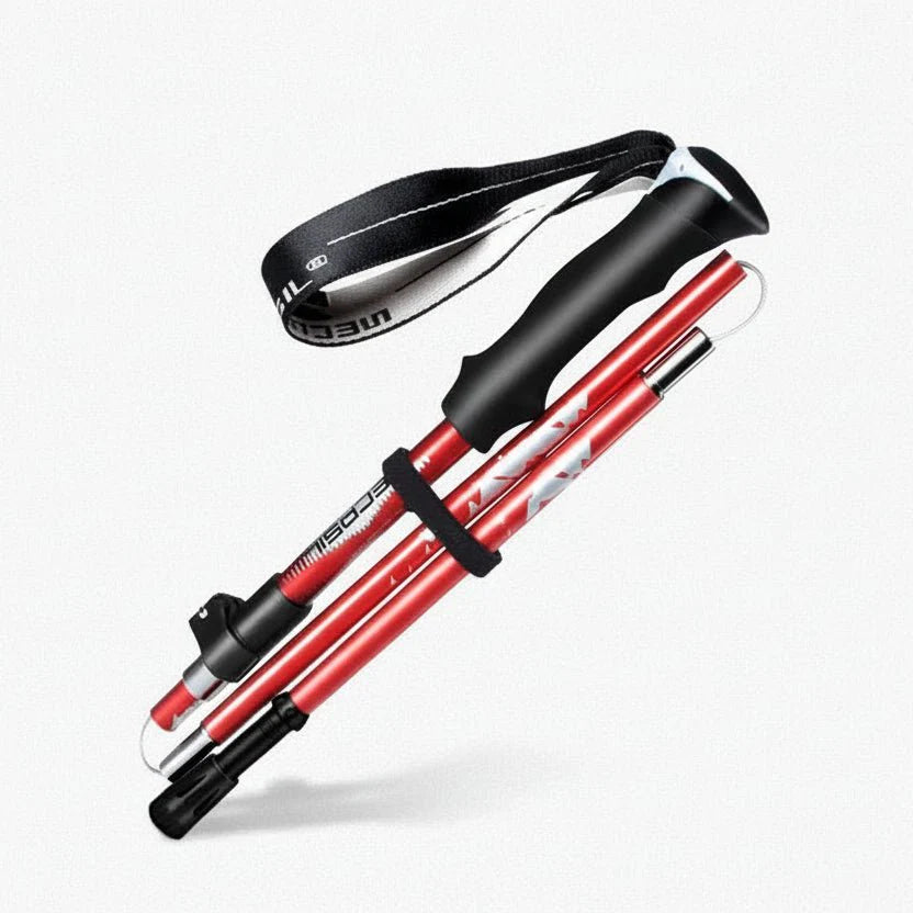 RIDGEX – Ergonomic adjustable hiking poles in lightweight design Vestragear