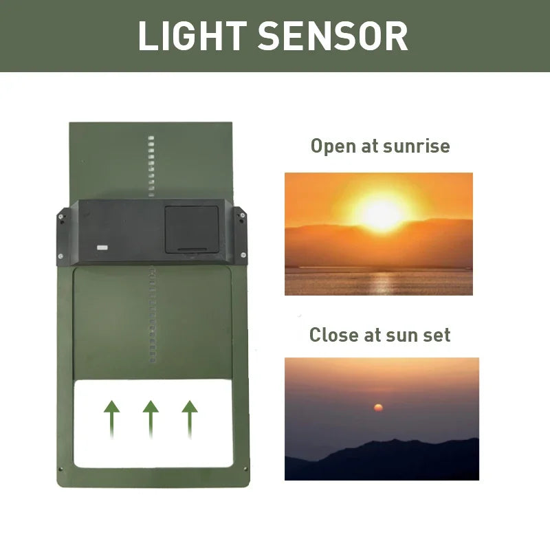 Farmora Porta Automática para Galinheiro – Porta Resistente às Intempéries com Sensor e Temporizador