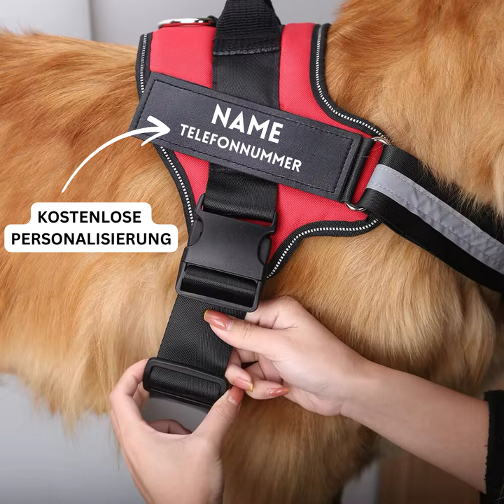 Dogura – Harnais Anti-Trek pour Chien Réfléchissant &amp; Confortable avec Nom