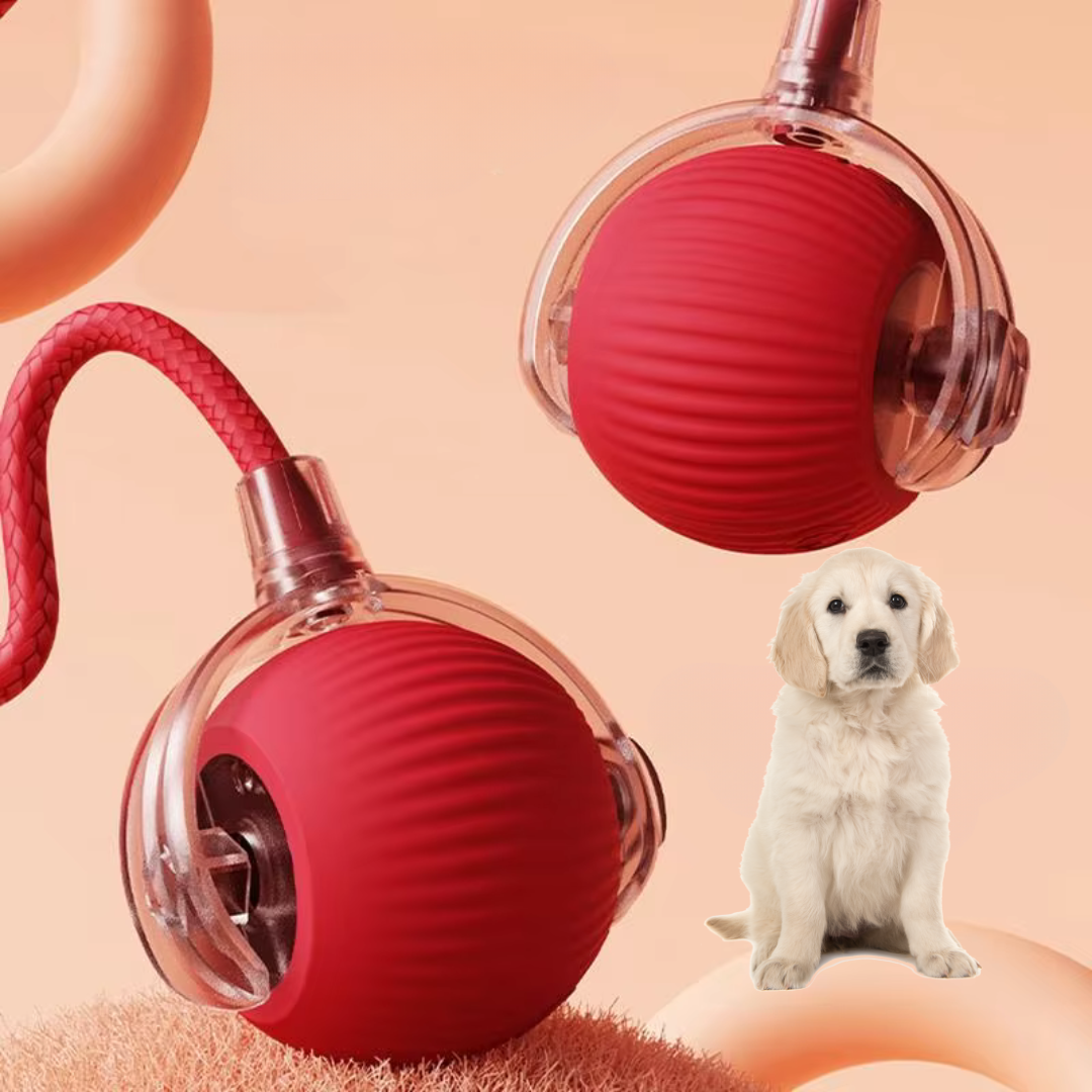 PurrPlay – Pelota interactiva para gatos con cola y movimiento automático