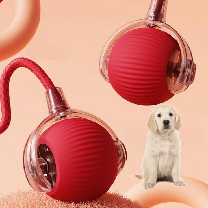 PurrPlay – Pelota interactiva para gatos con cola y movimiento automático