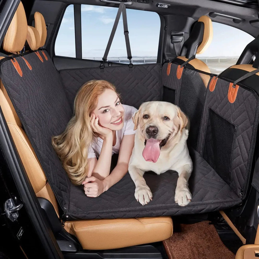 ComfortCarrier | Waar autobescherming en comfort voor je hond samenkomen | +Veilige hondenriem 3