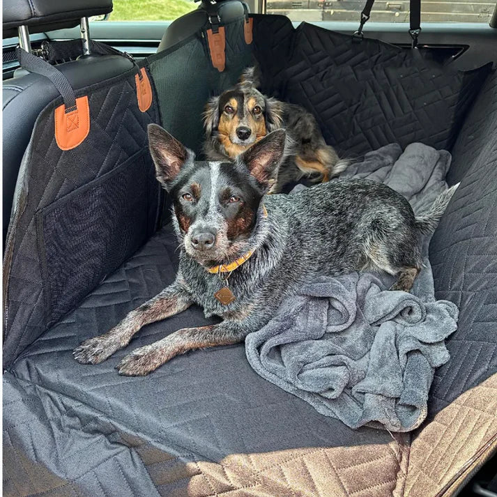 ComfortCarrier | Waar autobescherming en comfort voor je hond samenkomen | +Veilige hondenriem 4