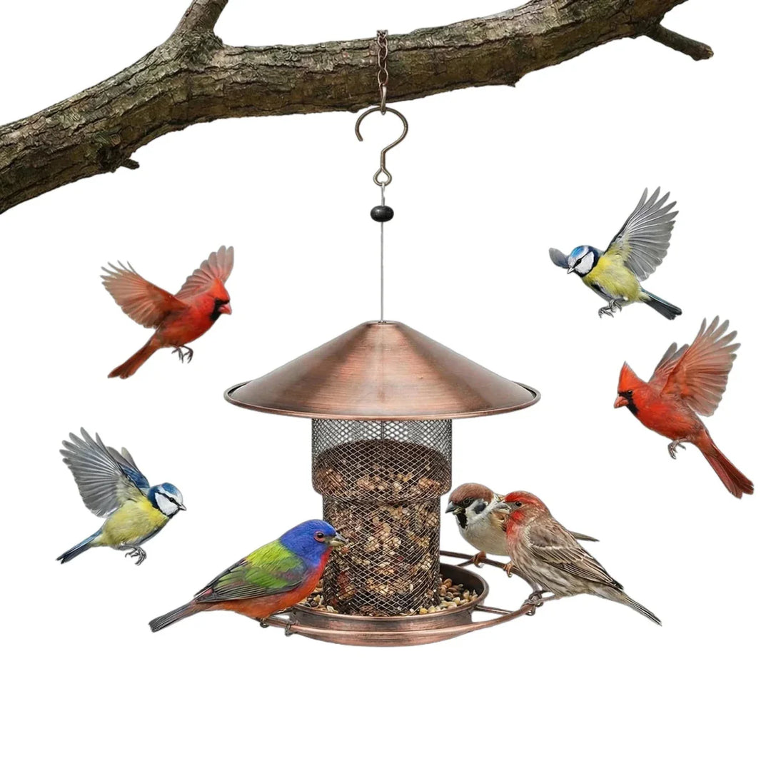 BIRDSAFE – Squirrel-Proof Stainless Steel Bird Feeder for Clean Automatic Feeding Vestragear