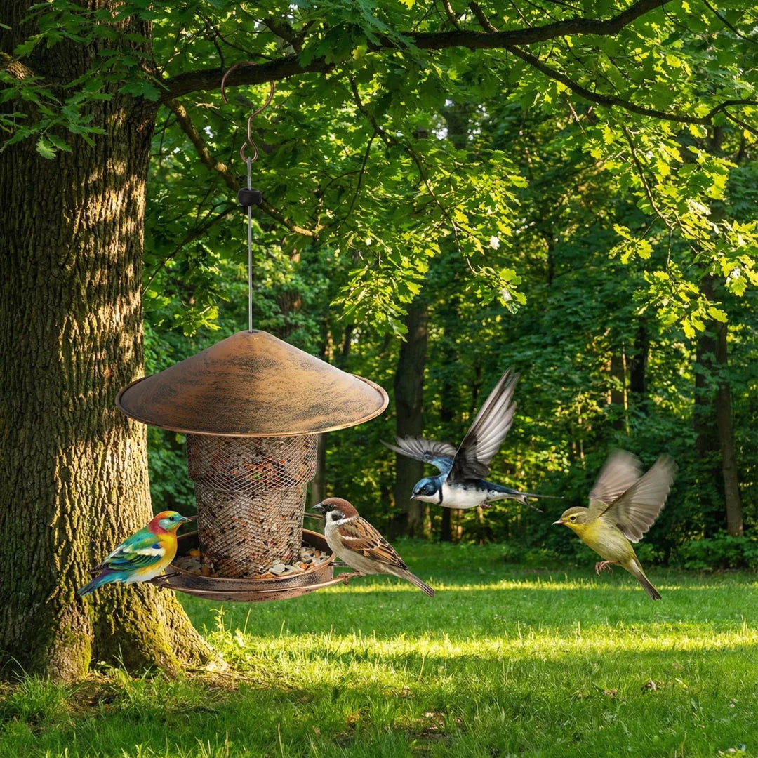 BIRDSAFE – Squirrel-Proof Stainless Steel Bird Feeder for Clean Automatic Feeding Vestragear