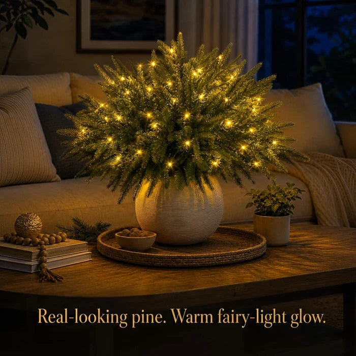 Lighted Norfolk Pine Branches – Evergreen Vase Stems with Warm Twinkle Lights Tevako