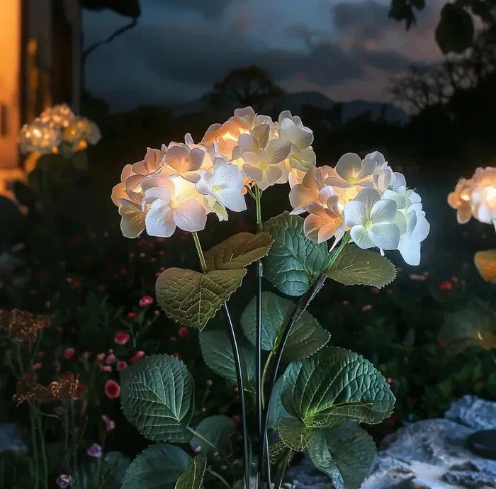 Solar Hydrangea Garden Lights – Flower Clusters That Glow Softly After Dark Tevako