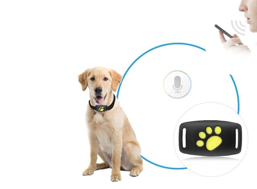 Traceur GPS pour chiens et chats – Localisation en temps réel, léger et longue autonomie de batterie