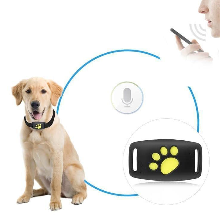 GPS-tracker voor honden en katten – Real-time locatie, lichtgewicht & lange batterijduur (Copy) Vestragear
