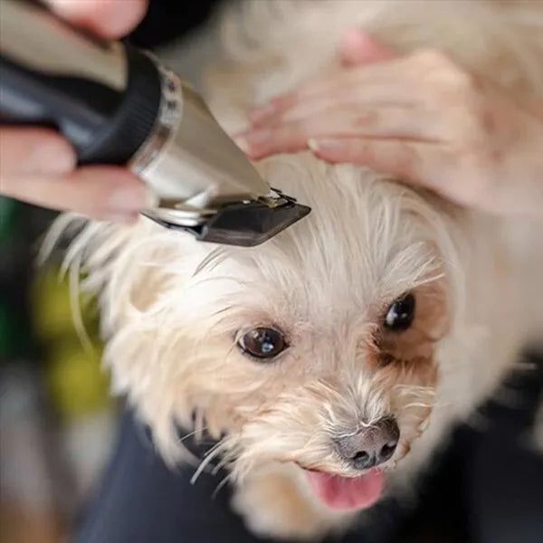 PawEase – Draadloze stille vachttrimmer set – voor honden en huisdieren