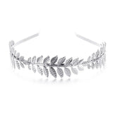 zilver-1