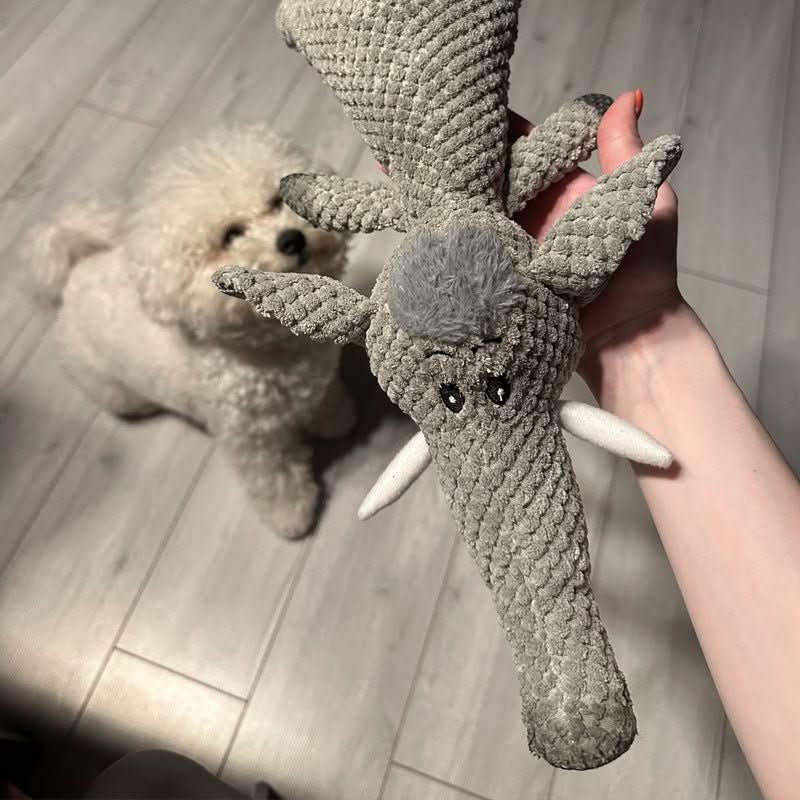 HARDPAW SPEELGOED – Duurzaam kauwspeelgoed voor kleine en grote honden 4