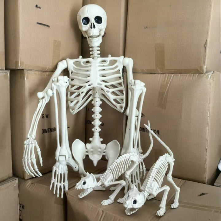 Halloween Decor Poseerbare Skelet Set 2