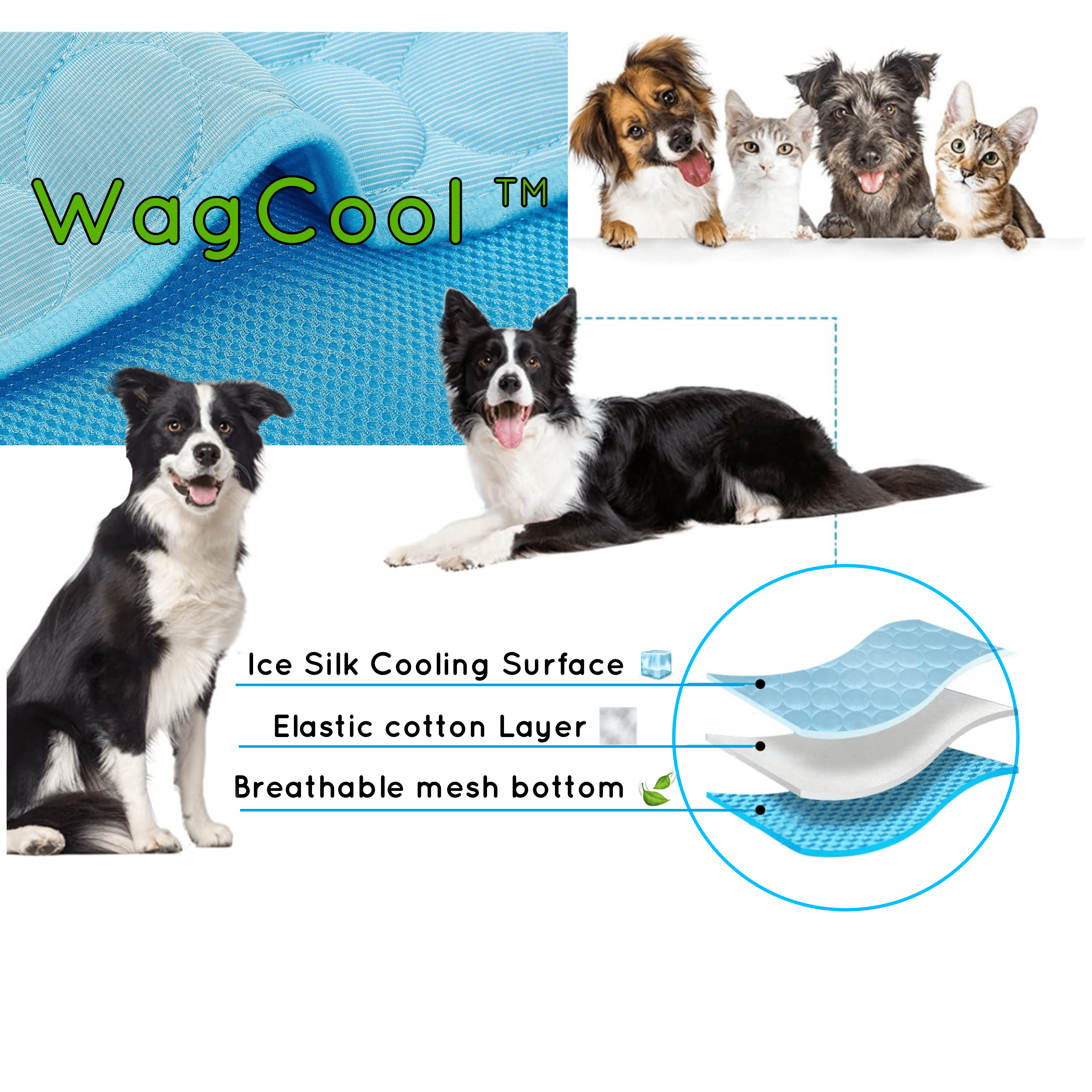 Honden Koelmat met Drukactieve Ijzijde, Lichtgewicht en Draagbaar voor Honden en Katten 3