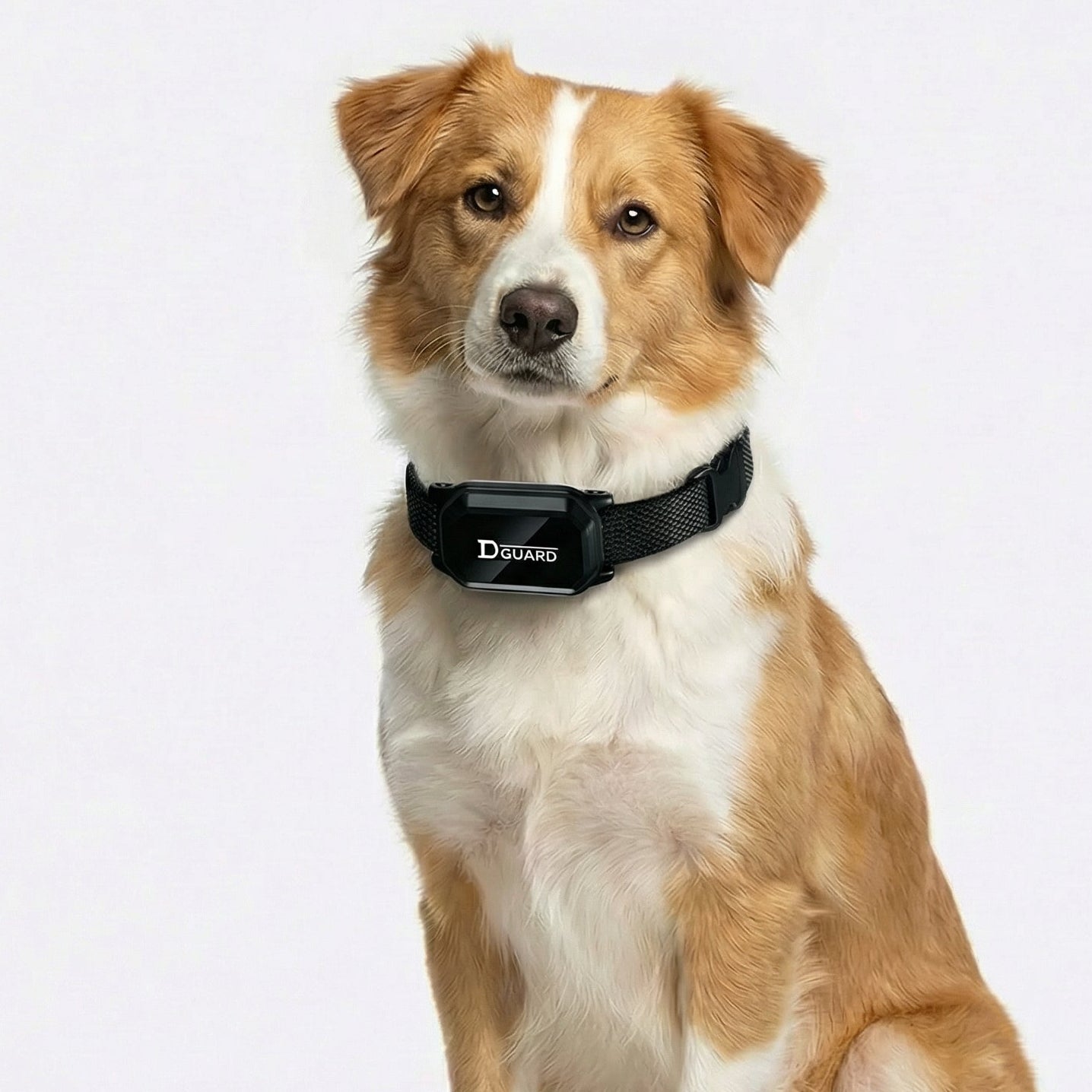 Collare per addestramento cani con telecomando – Impermeabile, ricaricabile e regolabile