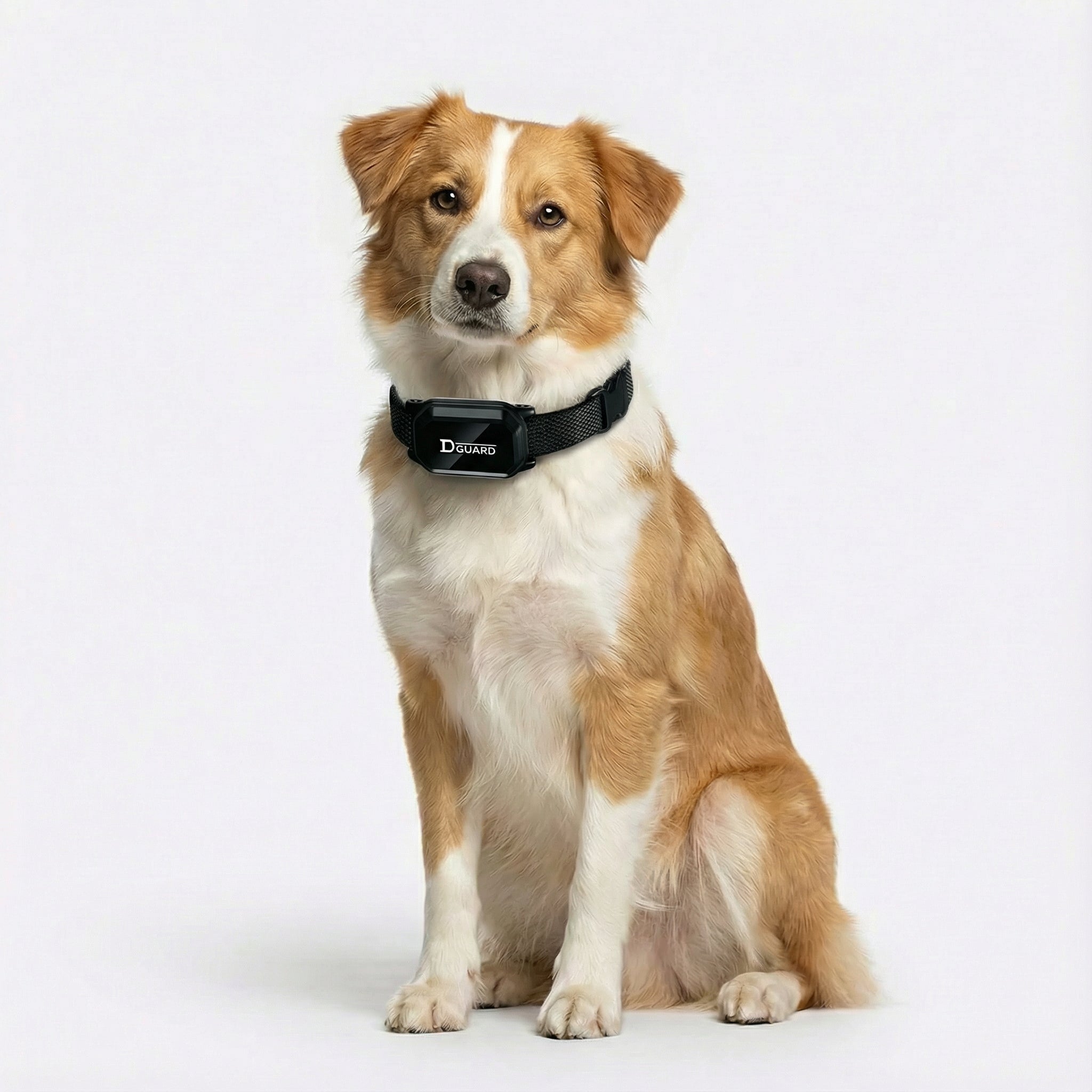 Collare per addestramento cani con telecomando – Impermeabile, ricaricabile e regolabile