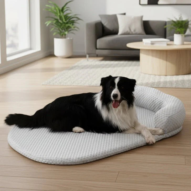 COOLTAIL – Cooling Bed Mat for Dogs and Cats Vestragear
