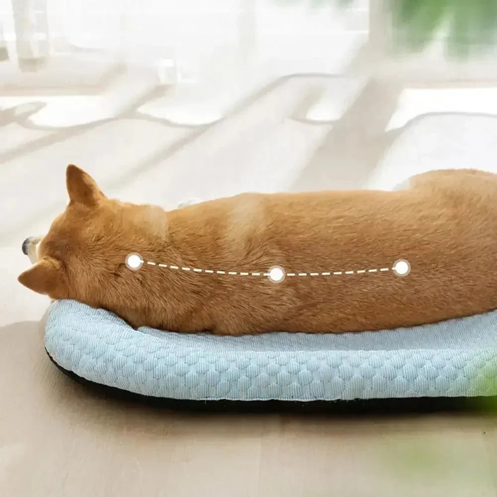 ICEPAD OVAL – Cooling Dog Bed for Small and Large Dogs Vestragear
