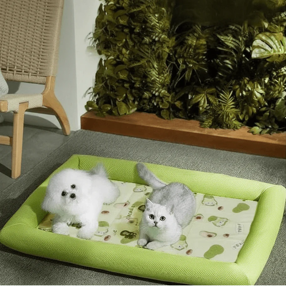 ICEBUDDY – Cooling Dog Bed for Small and Medium-Sized Dogs Vestragear