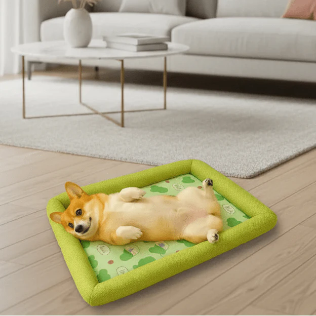 ICEBUDDY – Cooling Dog Bed for Small and Medium-Sized Dogs Vestragear