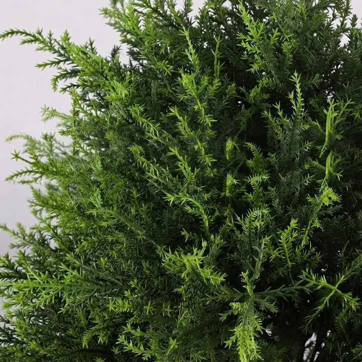 Kunstmatige cederplant – 45 cm hoge kunstboom voor tuin, terras en entree 4