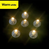 Warmwit