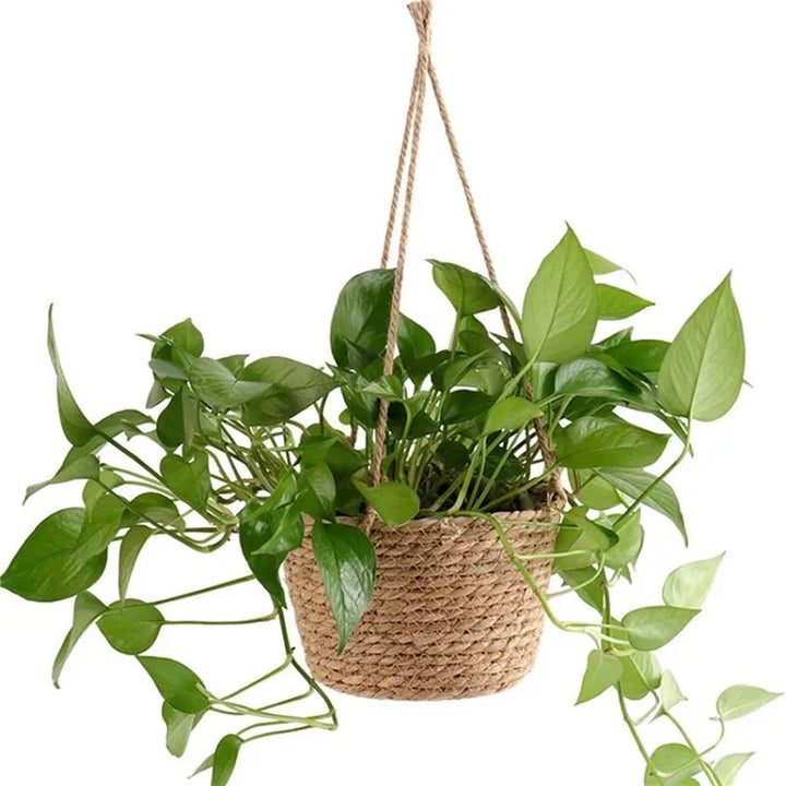 MACRAHANG – Stylish Jute Hanging Planter for Indoor &amp; Outdoor Use Vestragear