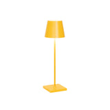 Geel