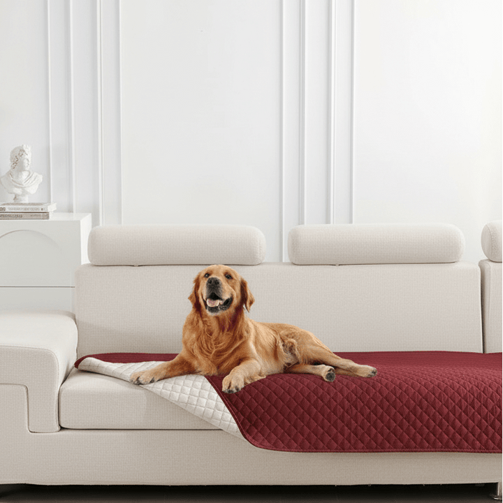 PAWSEAL – Leak-proof water-repellent pet blanket for protecting furniture Vestragear