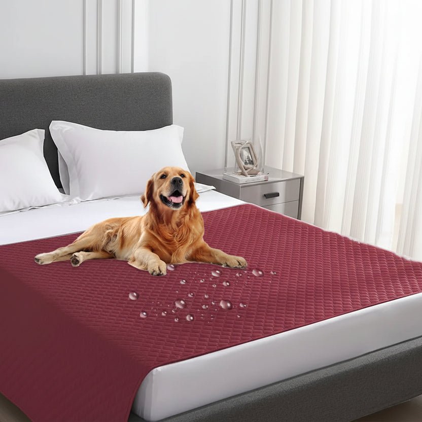 PAWSEAL – Leak-proof water-repellent pet blanket for protecting furniture Vestragear