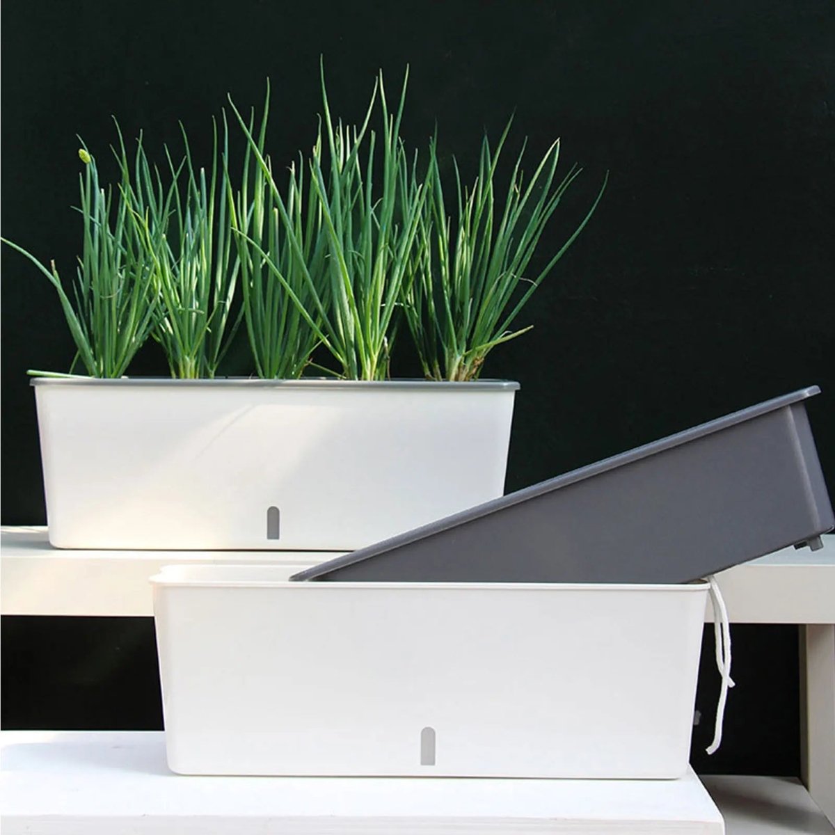 HYDRONEST – Self-watering Plant Container for Continuous Moisture Control Vestragear