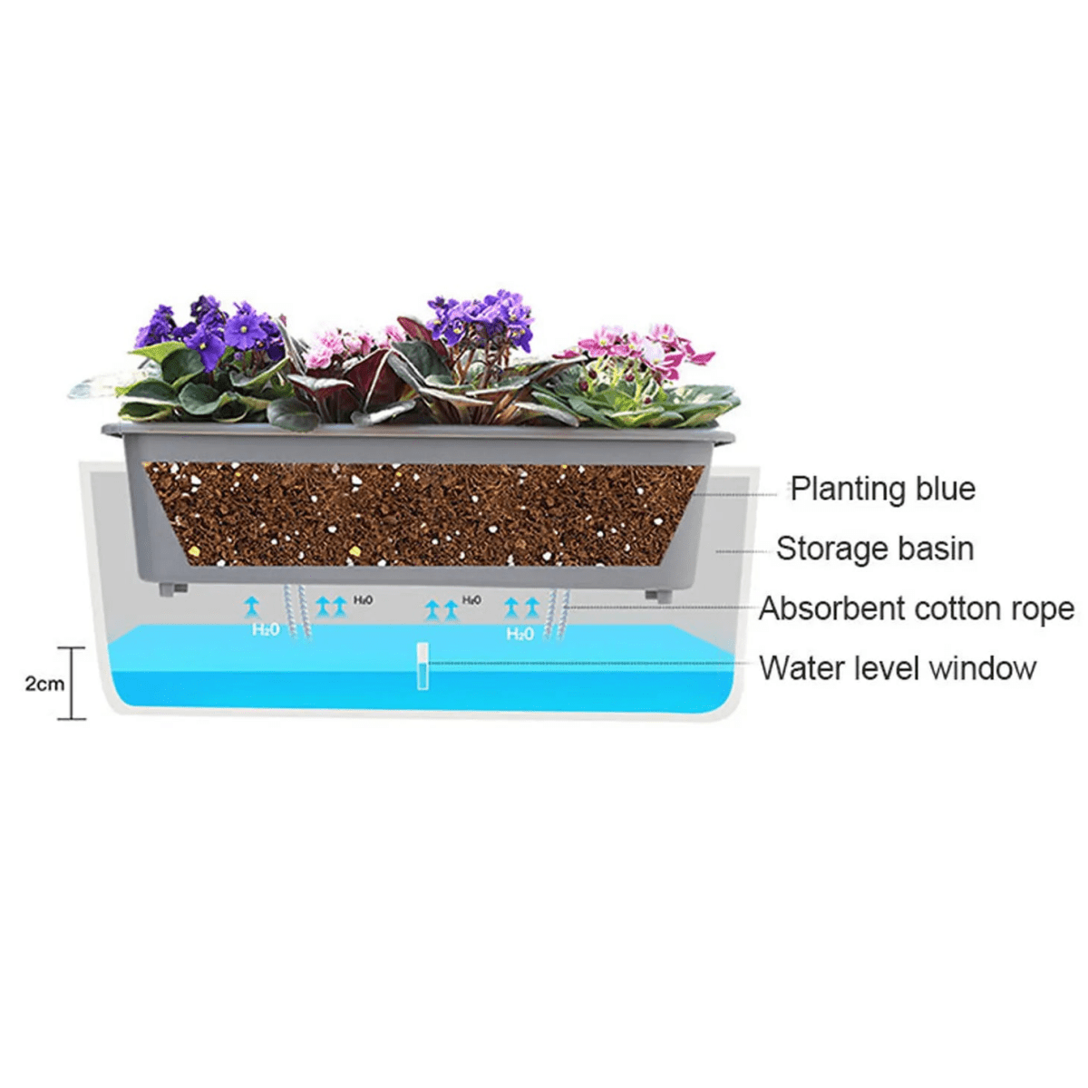 HYDRONEST – Self-watering Plant Container for Continuous Moisture Control Vestragear