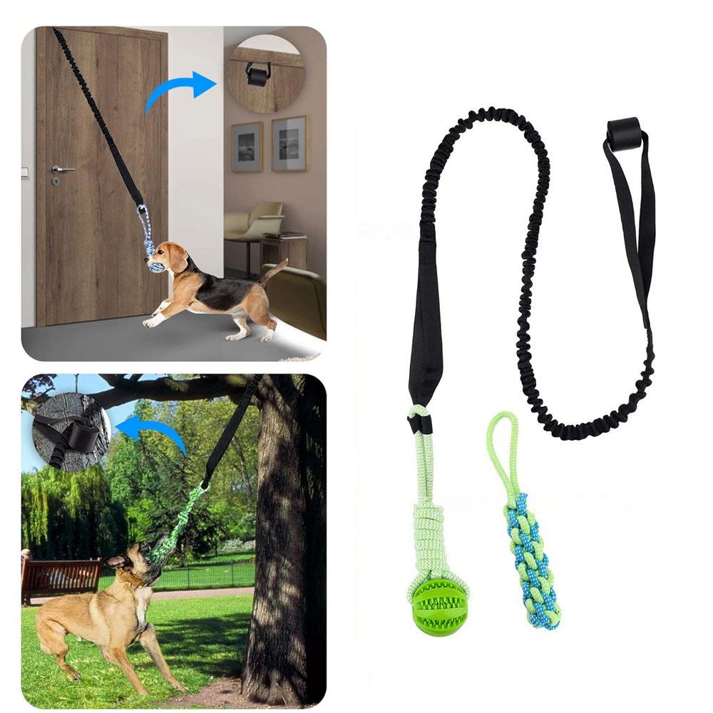 PlayBite | Biedt uren speelplezier en beweging voor je hond 1