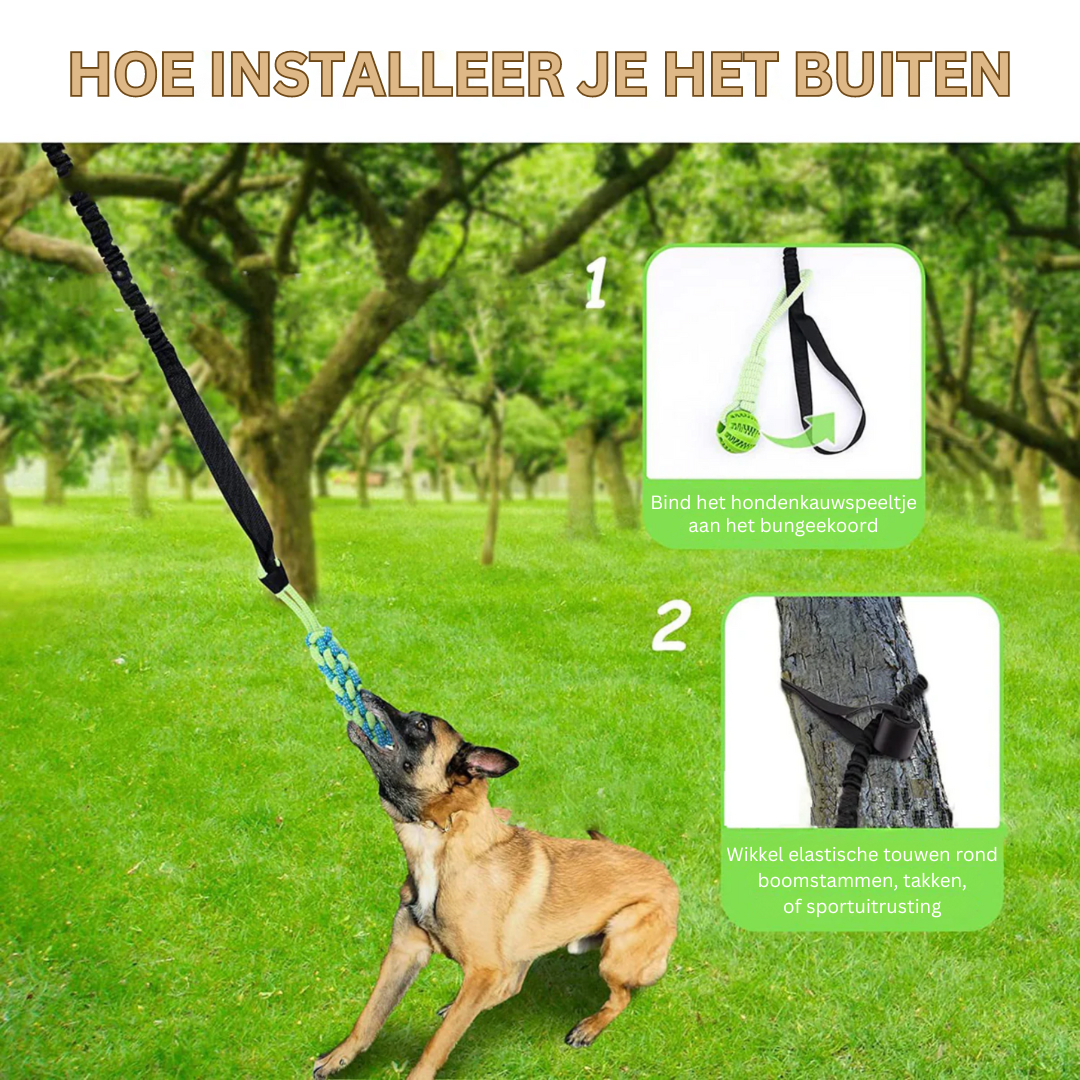 PlayBite | Biedt uren speelplezier en beweging voor je hond 2