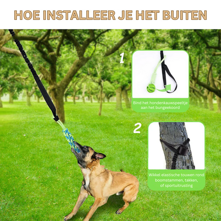 PlayBite | Biedt uren speelplezier en beweging voor je hond 2