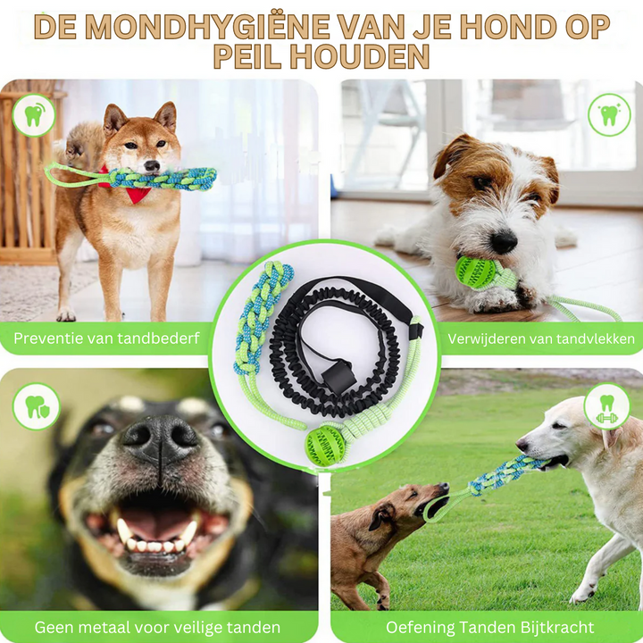 PlayBite | Biedt uren speelplezier en beweging voor je hond 3