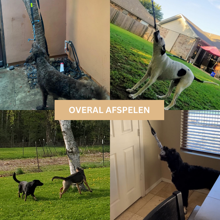 PlayBite | Biedt uren speelplezier en beweging voor je hond 4