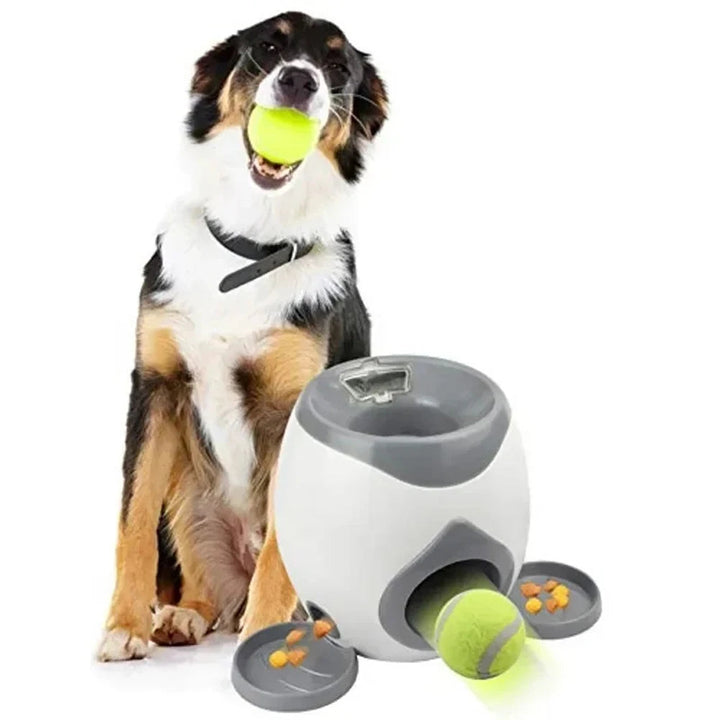 RegalPlay | Interactieve automatische ballenwerper 6