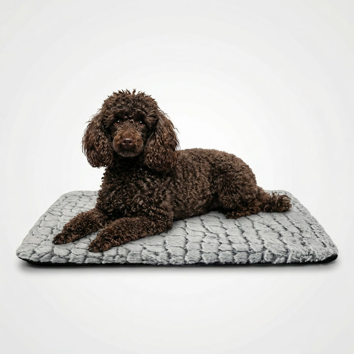 Zelfverwarmend huisdierenbed voor honden en katten – Zacht, antislip &amp; wasbaar